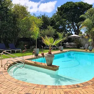 https://wild-olive-guest-house.hotels-capetown.com