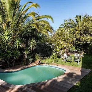 https://le-petit-chateau-guest-house.hotels-capetown.com